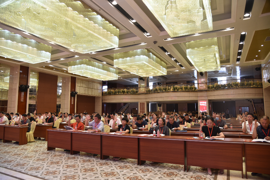22大会举手表决(1).JPG